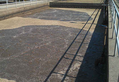Cationic Flocculants for Municipal Wastewater Treatment