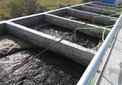 What Are the Methods of Sludge Dewatering?