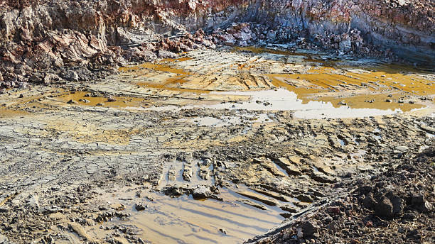 Exploring the Environmental Impact of Mining Flocculants