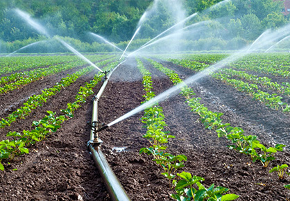 The Role of Water Retaining Agents in Sustainable Agriculture