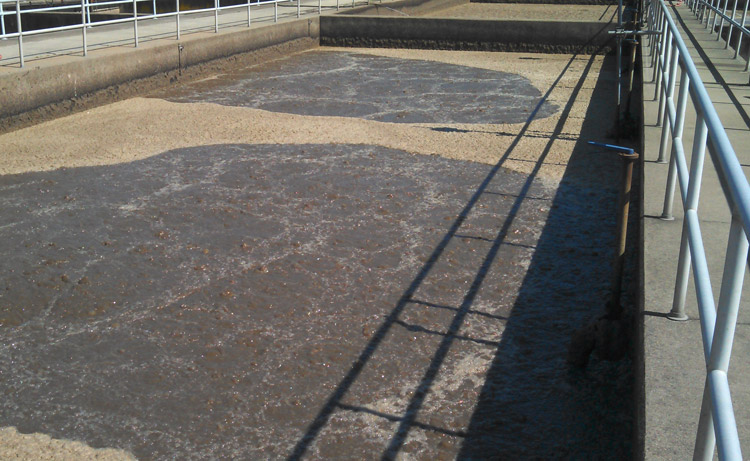 Cationic Flocculants for Municipal Wastewater Treatment