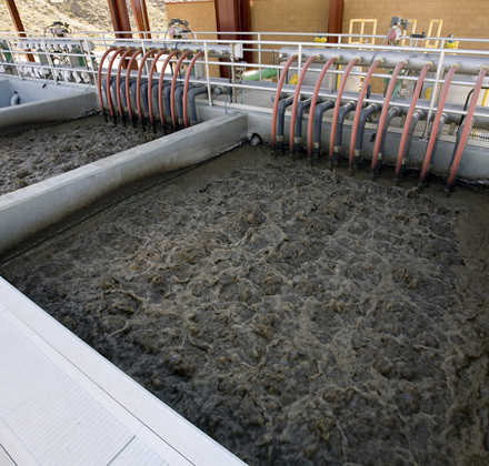 The Application of Amphoteric Polyelectrolyte