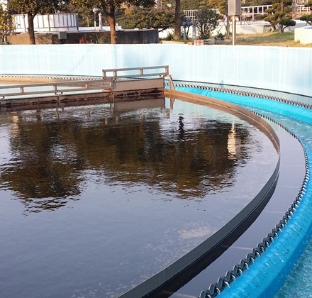 Sinofloc Polyacrylamide Flocculants for Water Treatment