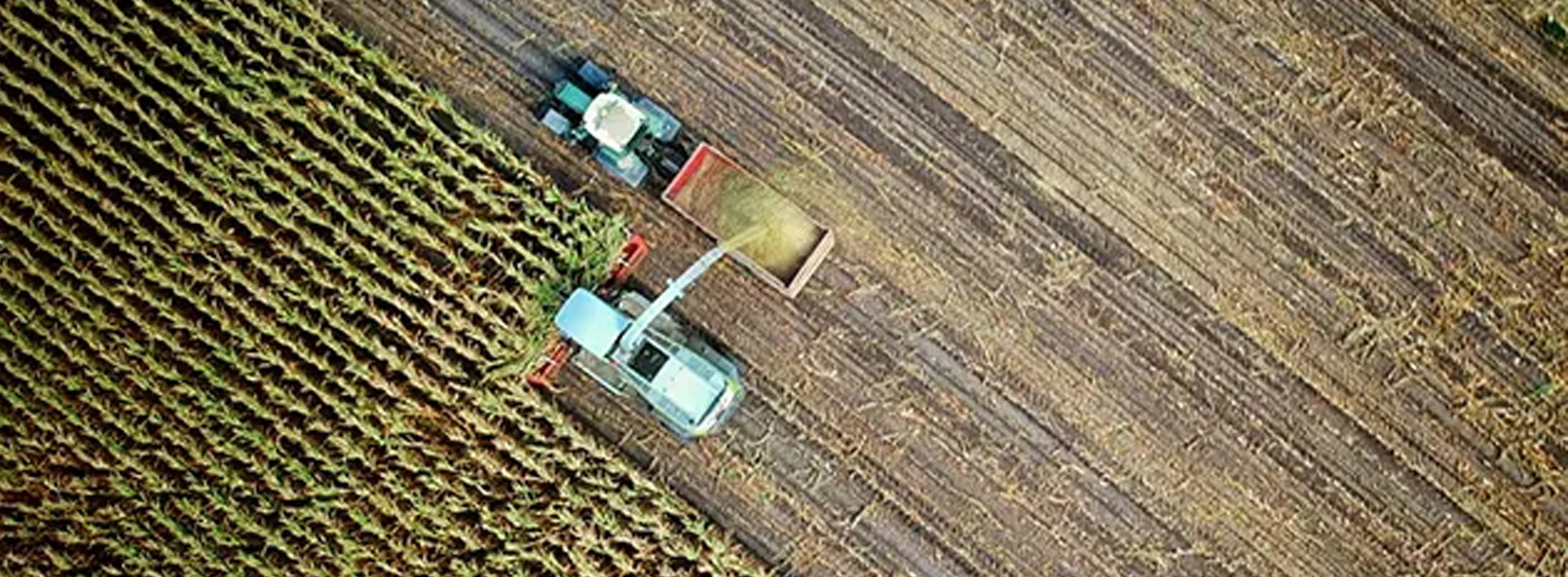 SINOFLOC Polymers for Agriculture
