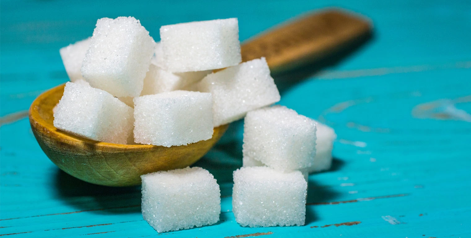 Sugar Refining Process