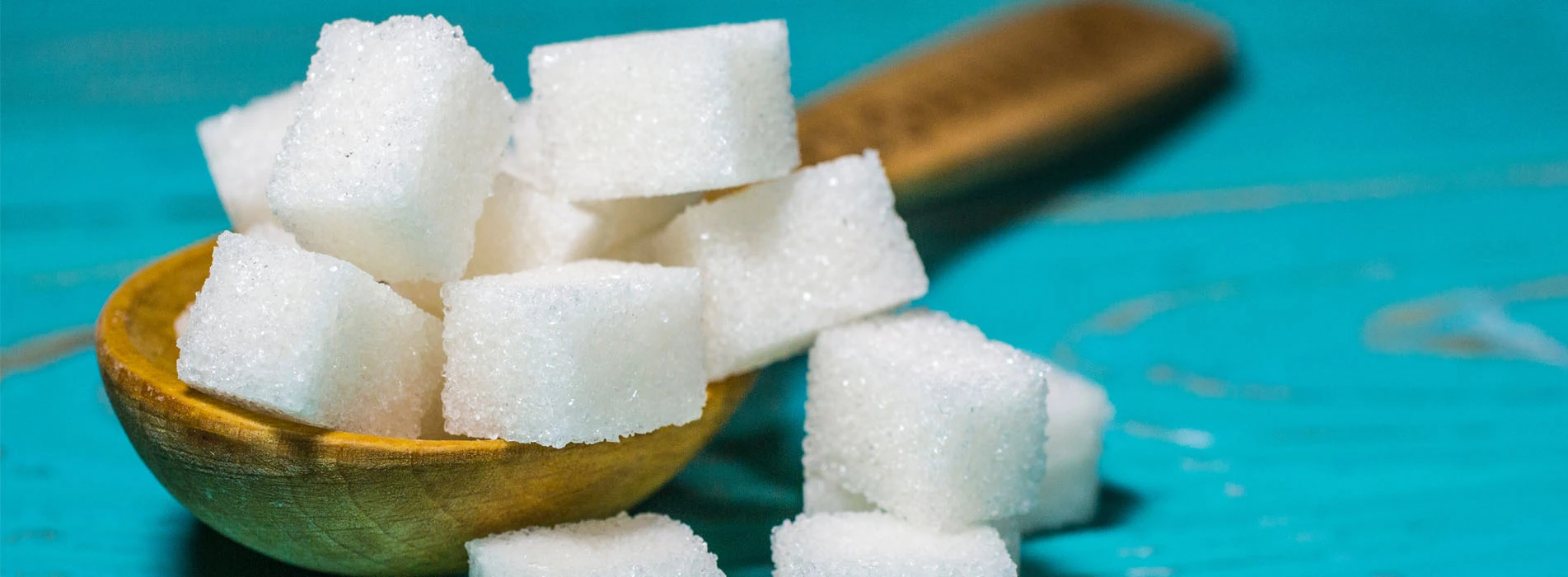 Sugar Refining Process